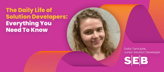 The Daily Life of Solution Developers: Everything You Need To Know
